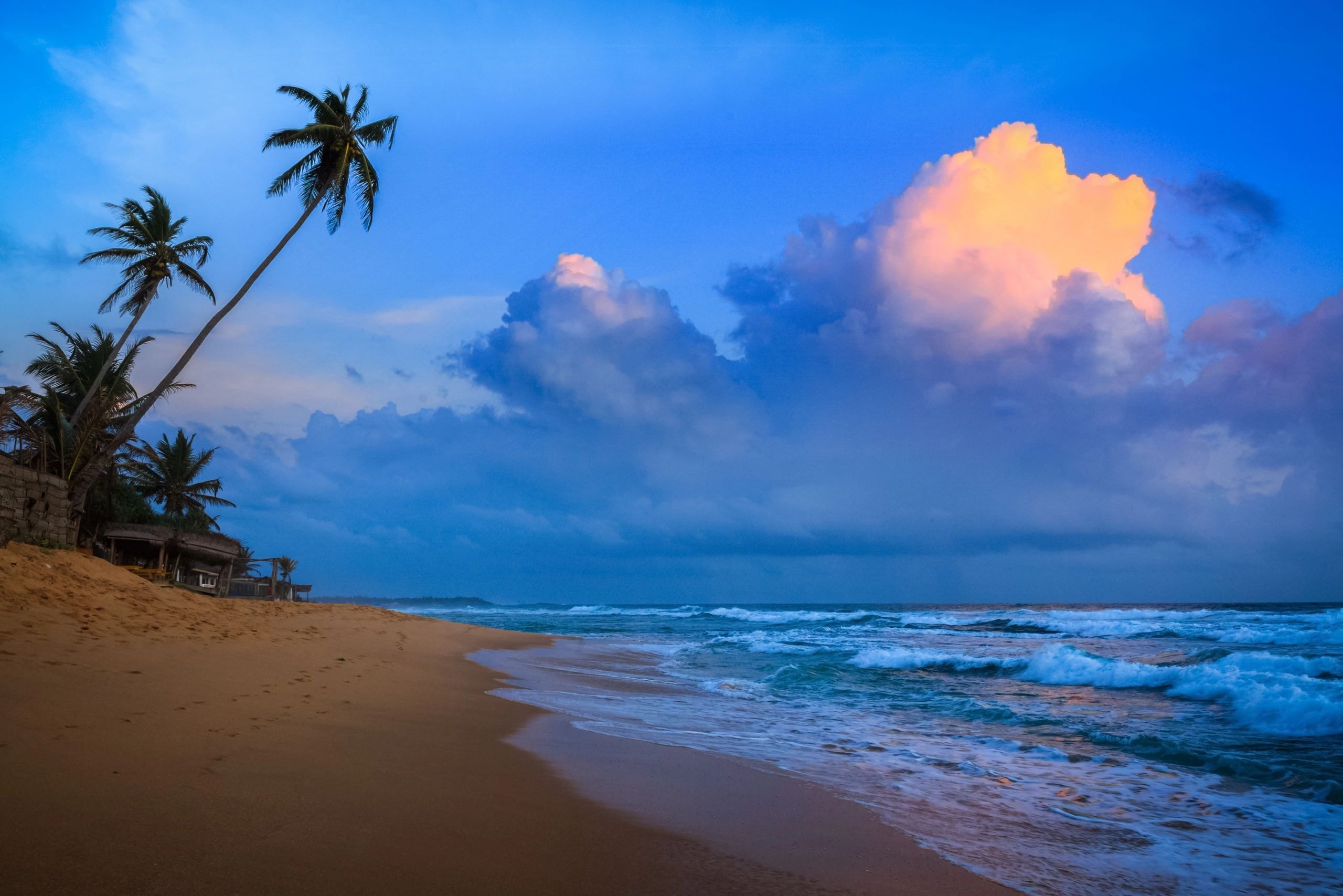 Tropical Cuba beach with palm trees at dusk, golden light